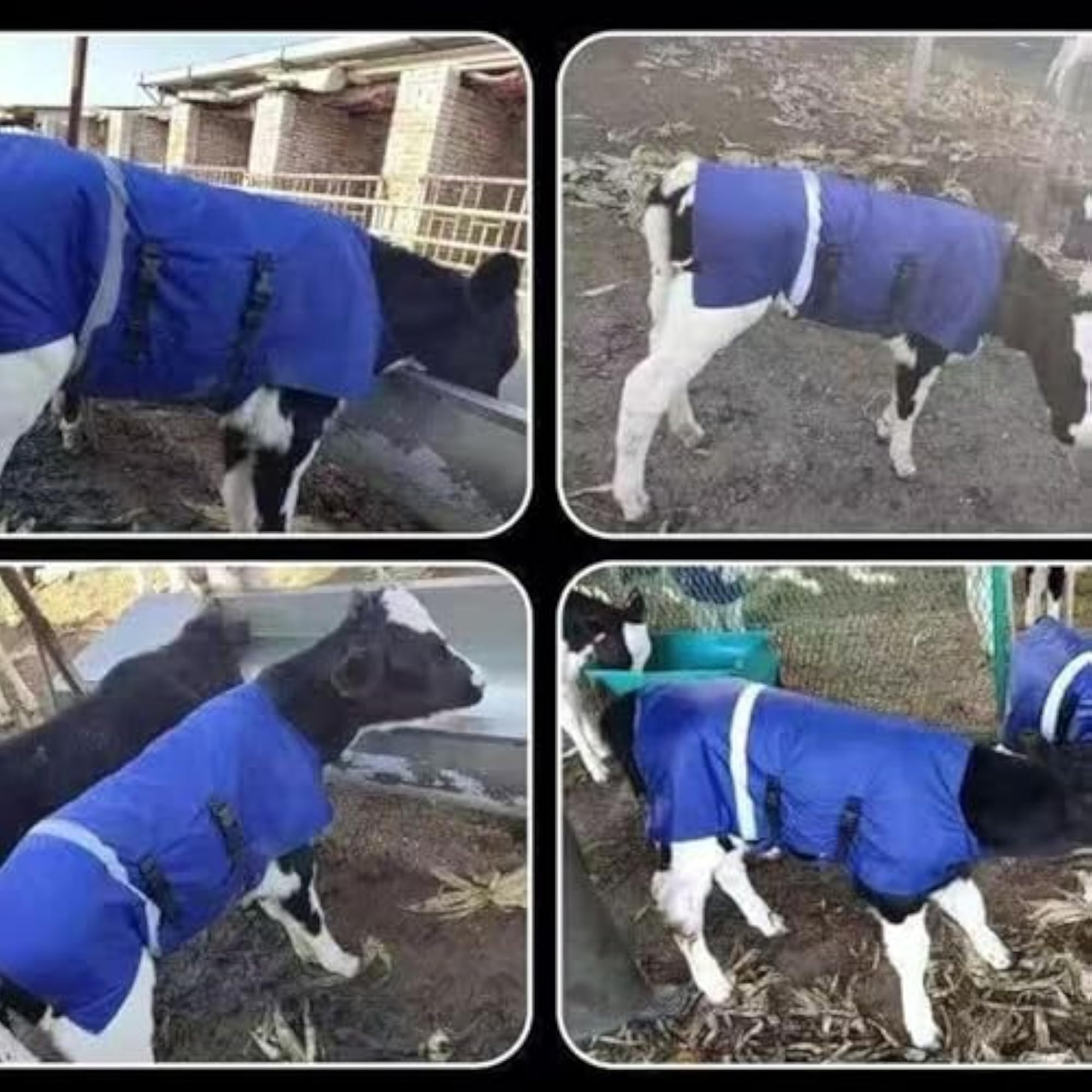 Calf Warmer Jacket, Windproof and Water Resistant Blanket